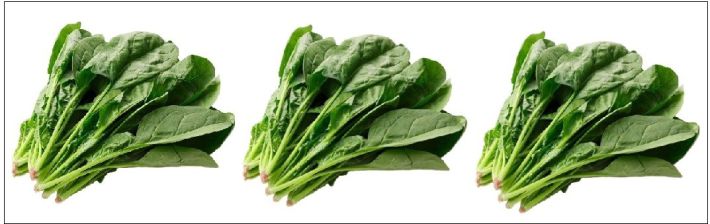 ほうれん草
