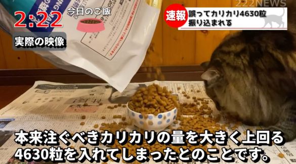 222NEWSさん ポポくん
