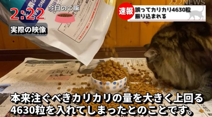 222NEWSさん　ポポくん