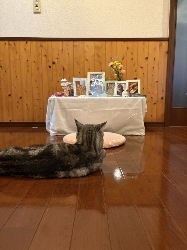 222NEWSさん　ポポくん