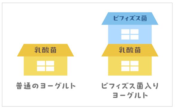 ビフィズス菌入りヨーグルトは2階建て