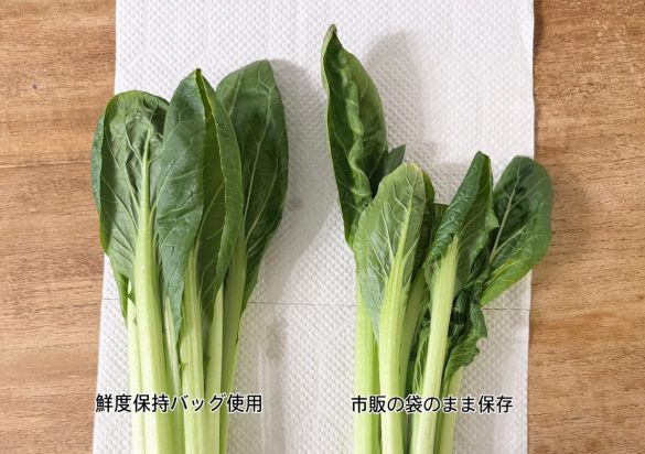 DAISO「鮮度保持ストックバッグ」