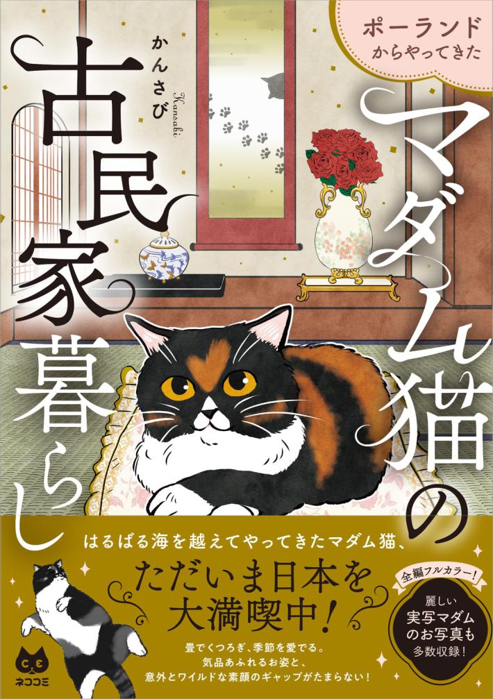 マダム猫の古民家暮らし