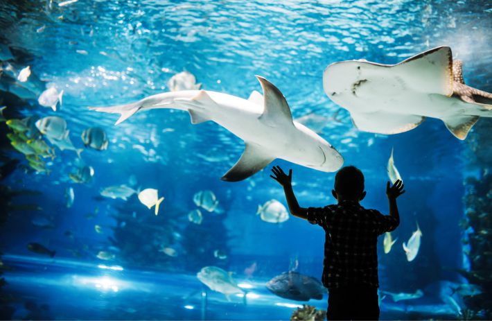 水族館