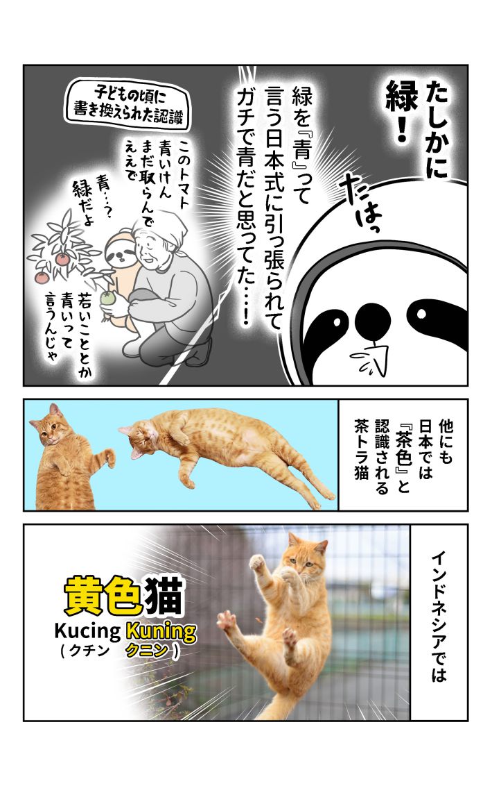 アマキナ2