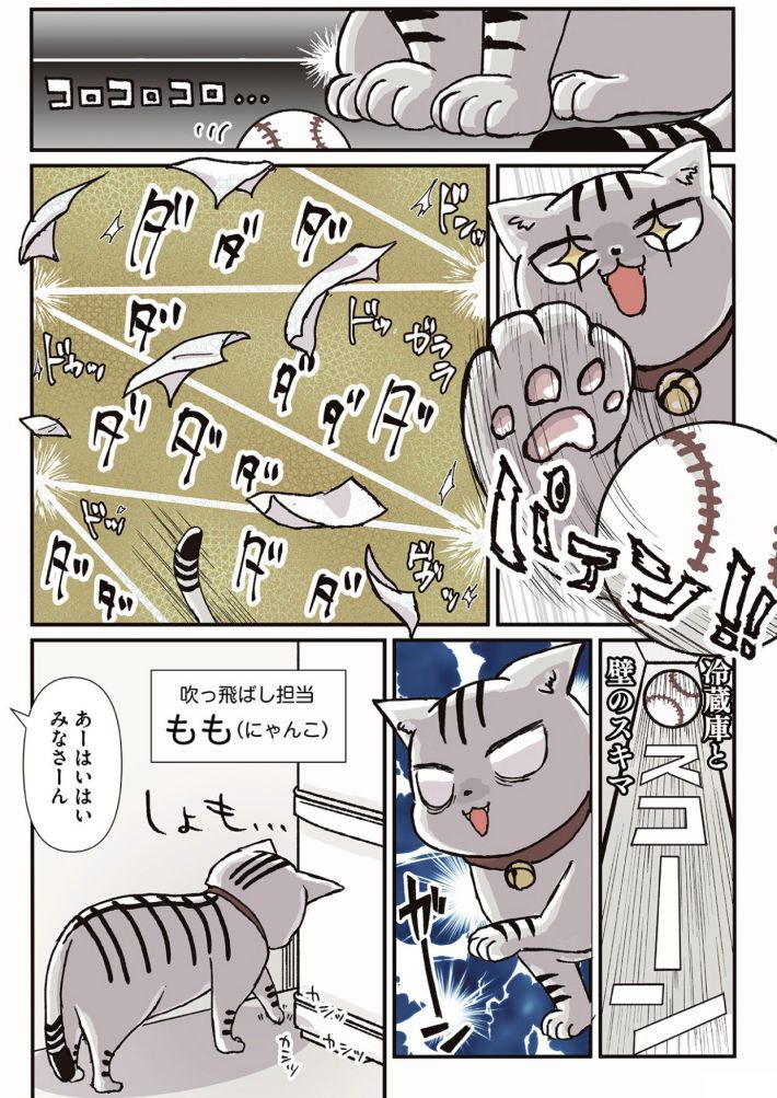 『私だけが頑張る片付けはもうごめんだ』