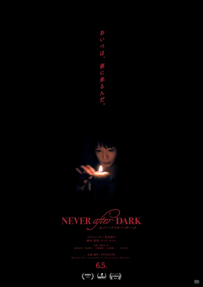 『Never After Dark』