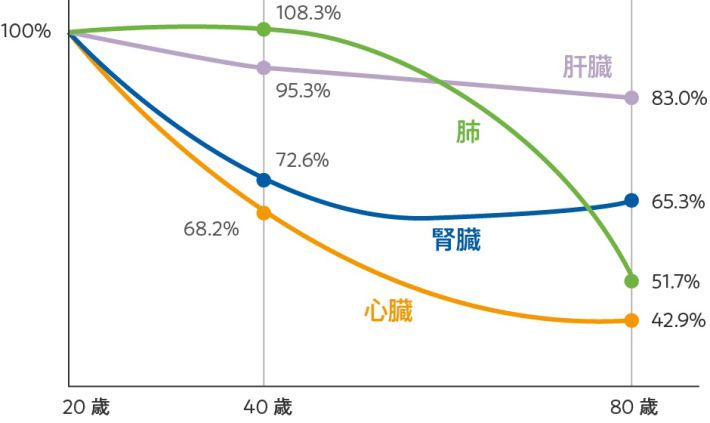 体内各器官でのコエンザイムQ10の減少