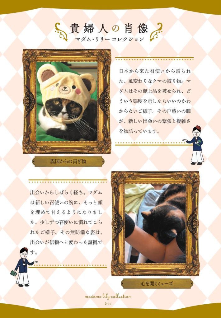 マダム猫の古民家暮らし