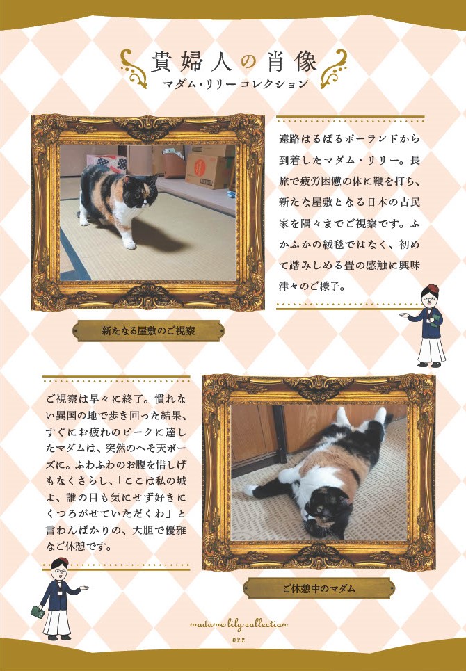 マダム猫の古民家暮らし