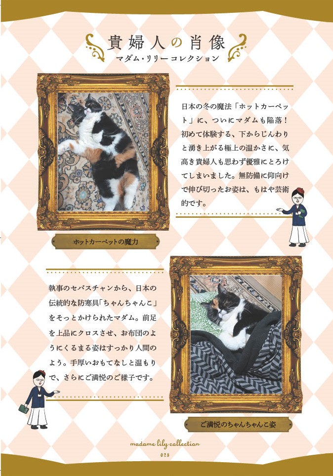 マダム猫の古民家暮らし