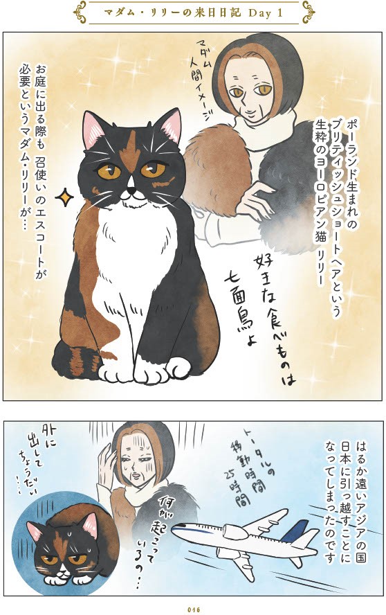 マダム猫の古民家暮らし