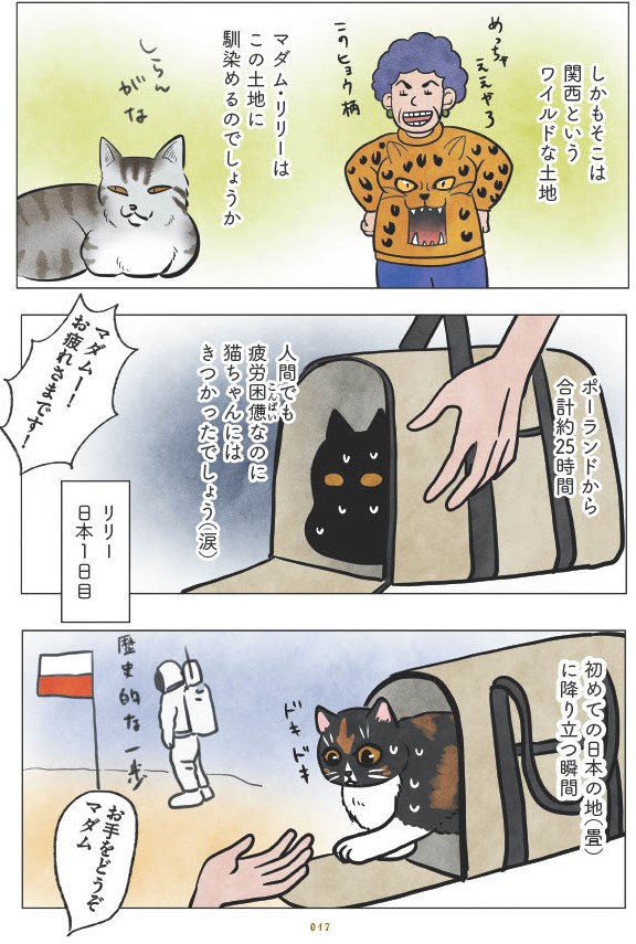マダム猫の古民家暮らし