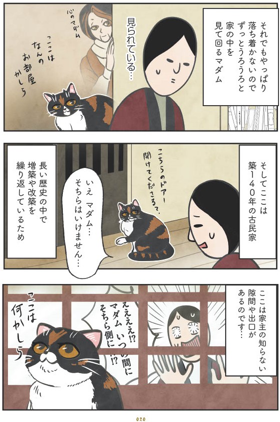 マダム猫の古民家暮らし