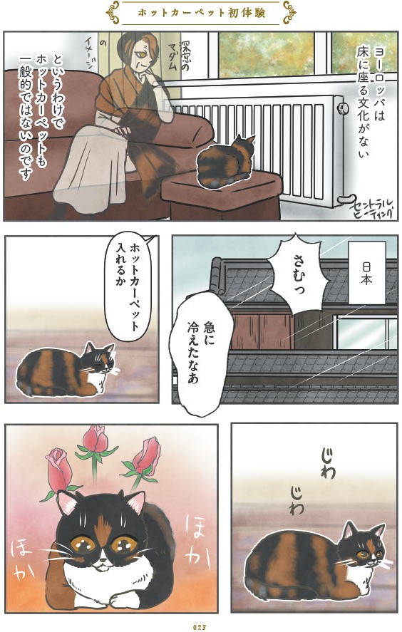 マダム猫の古民家暮らし