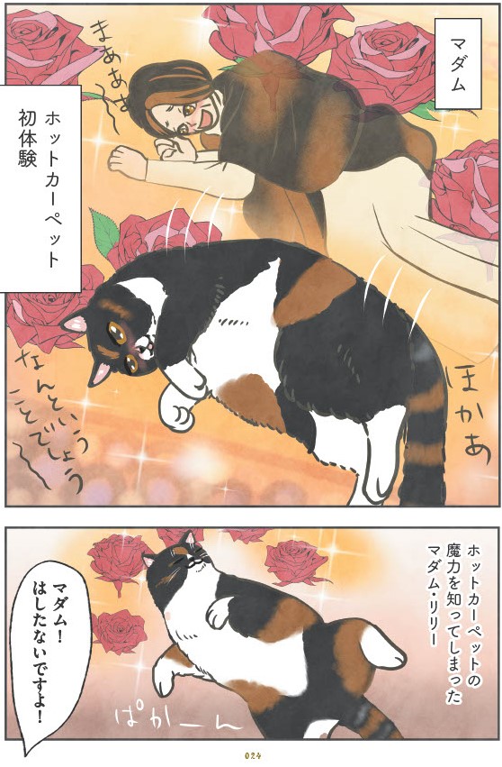 マダム猫の古民家暮らし