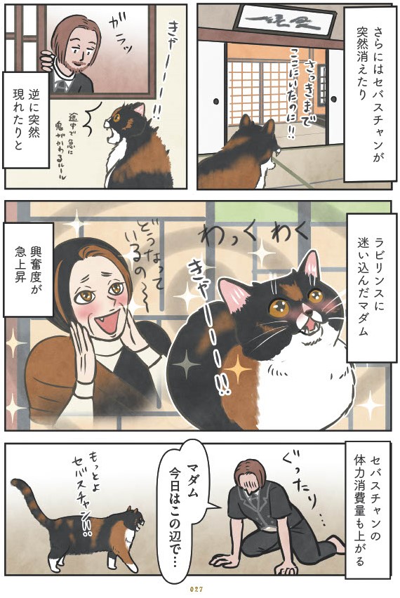 マダム猫の古民家暮らし