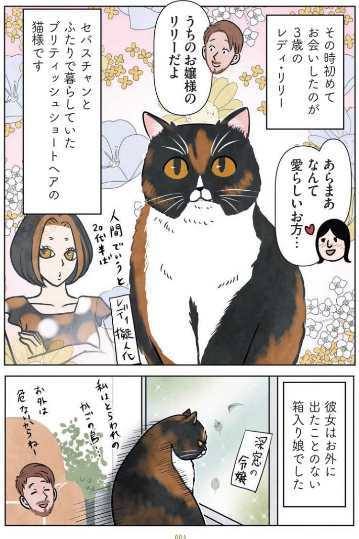 マダム猫の古民家暮らし