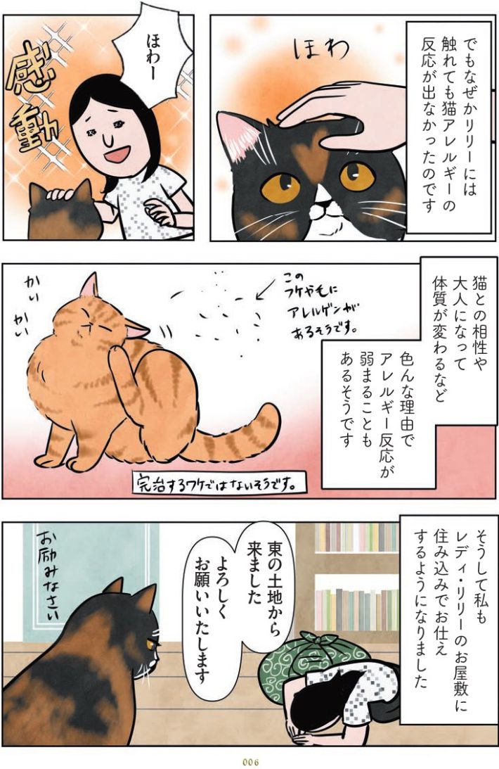 マダム猫の古民家暮らし