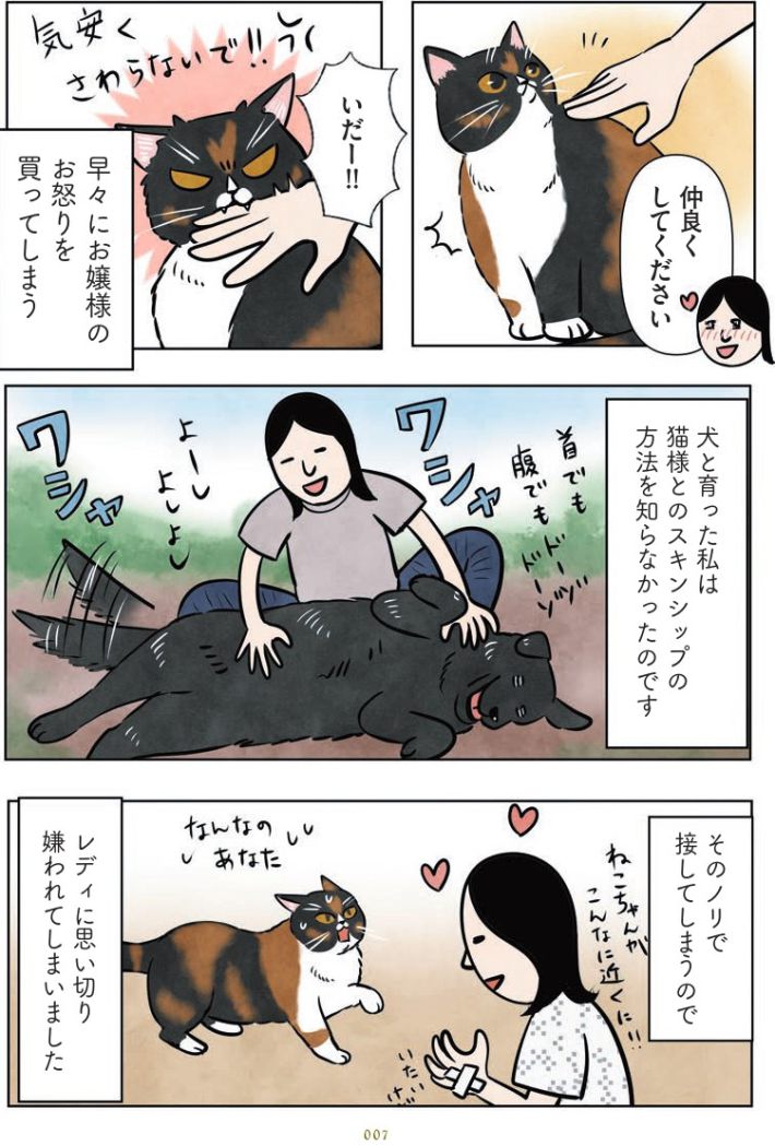 マダム猫の古民家暮らし