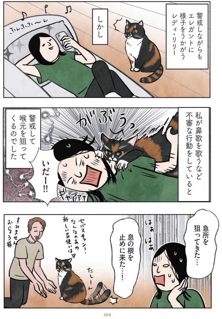 マダム猫の古民家暮らし