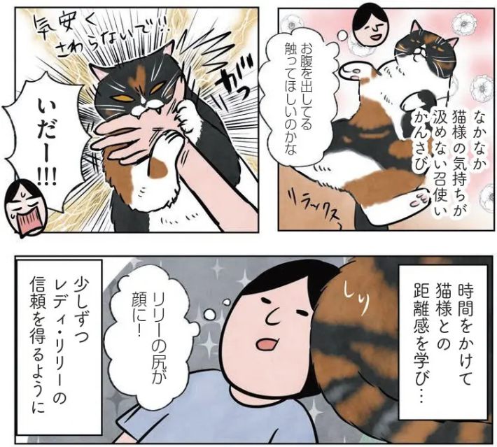 『マダム猫の古民家暮らし』（かんさび著、KADOKAWA）より