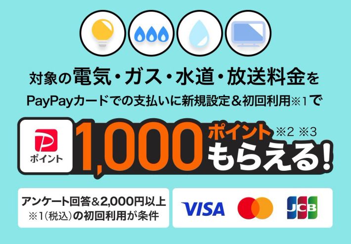 ポイ活