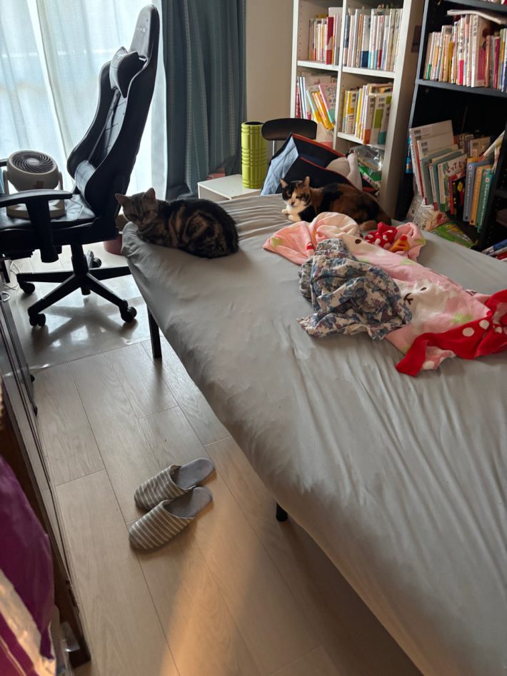義母に貸している仕事部屋。義母のベッドの側に仕事用デスクとチェア
